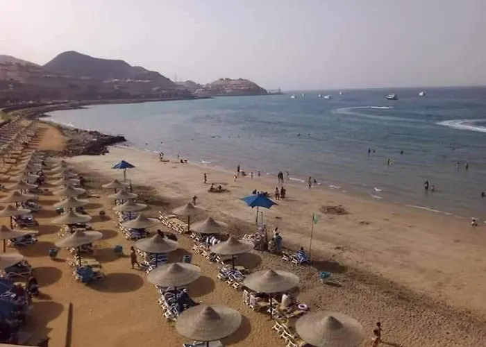 Resort Easy Rent In Porto *